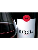 ANGUS THE BULL