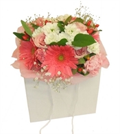 Pink Posy Flowers