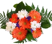 Carnival Flowers