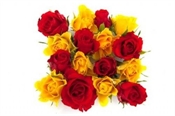 Friendship & Love Flowers