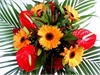 Tropical Flowers