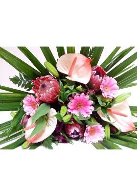 Tropical in Pink Flowers