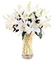 White Lilies