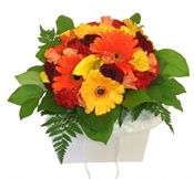 Golden Sunset Flowers