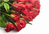 12 x Red Roses