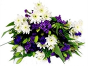 Blue Haze Flowers