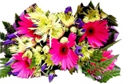 Cheerful Flowers