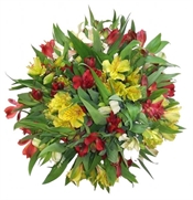 Alstrmeria Deluxe Flowers