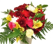 Blossom Flowers
