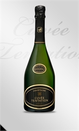 Champagne A. Bergere Tentation Brut Cuve