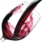 St Jerome Gisb Merlot 2004