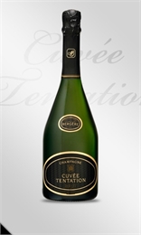 Champagne A. Bergere Tentation Brut Cuvee 2006-champagne-TopShelf Liquor Online Nz
